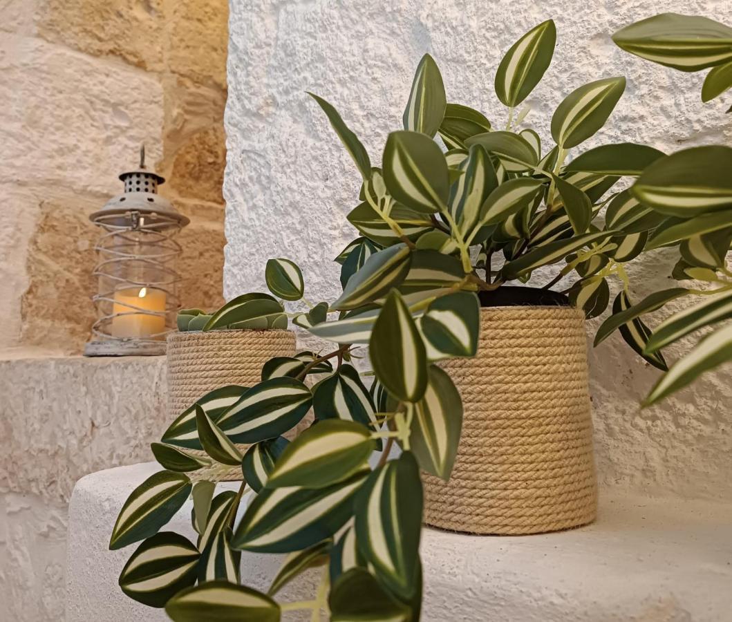 Apartamento Tulipano Bianco Ostuni Exterior foto